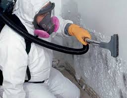 Best Mold Damage Restoration  in Leonardtown, MD